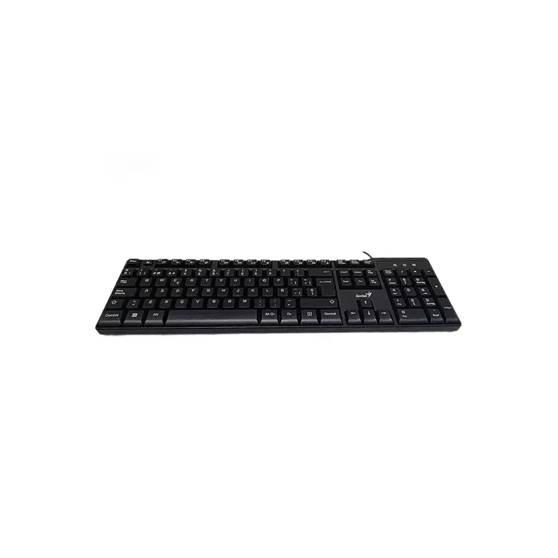 TECLADO USB GENIUS KB-100X NEGRO